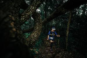 BIB: 
                            <button type="button" onclick="openModal(25699757)" class="btn btn-primary btn-sm float-right btn-popup" data-toggle="modal" data-target=".modal-high-quality">
                        <i class="fas fa-shopping-cart"></i> Add to Cart
                    </button>
                                            <button type="button" onclick="isThisMe(25699757, true)" class="btn btn-success btn-sm float-right btn-popup btn-isme hidden" data-toggle="tooltip" data-placement="bottom" title="นี่คือรูปของคุณใช่ไหม คลิกที่นี่เพื่อเอาเข้าอัลบั้ม">
                        <i class="fas fa-plus"></i> Add to album
                    </button>
                    <button type="button" onclick="isThisMe(25699757, false)" class="btn btn-warning btn-sm float-right btn-popup btn-isnotme hidden">
                        <i class="fas fa-ban"></i> Remove from album
                    </button>